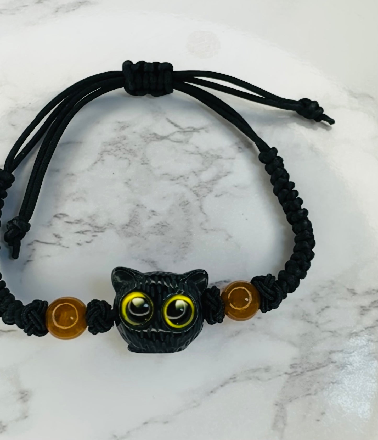 Black cat