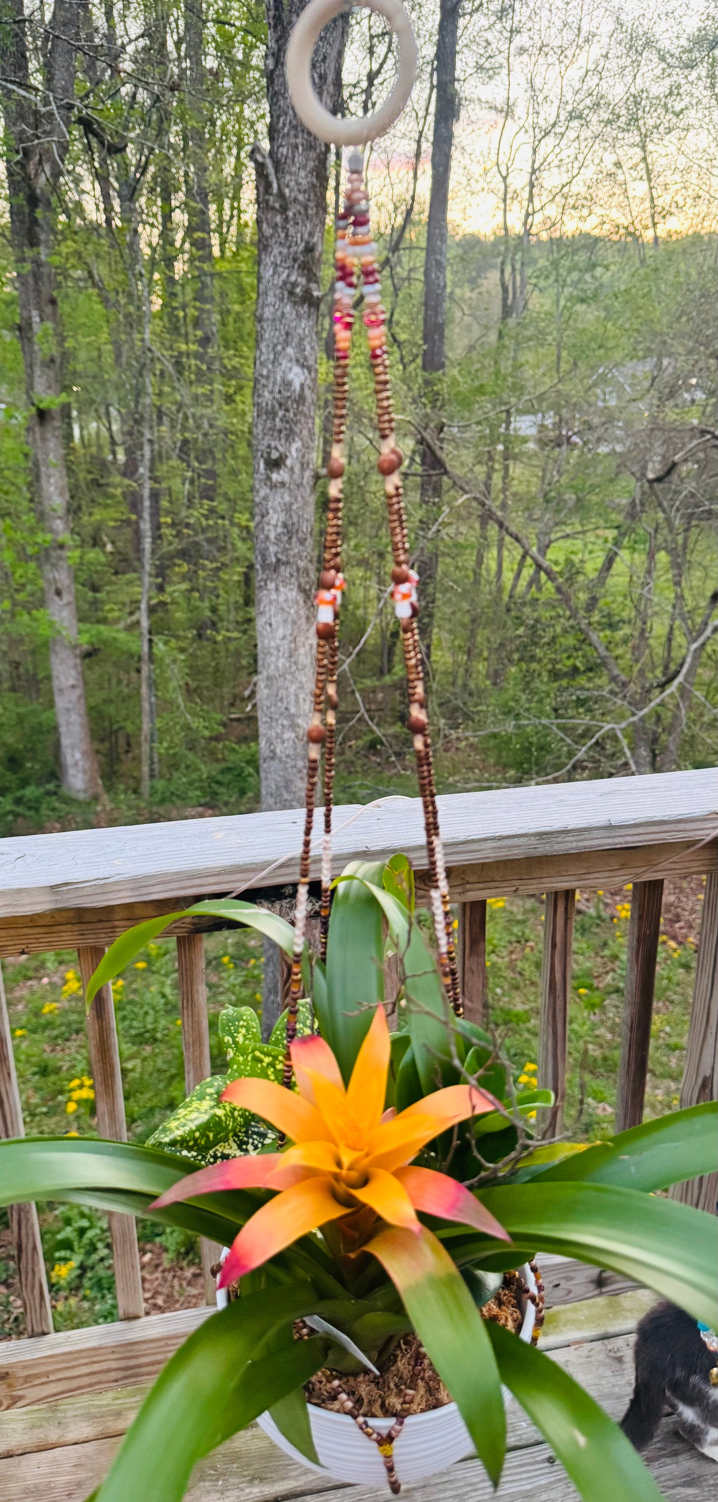 🍄 Custom-made plant hanger