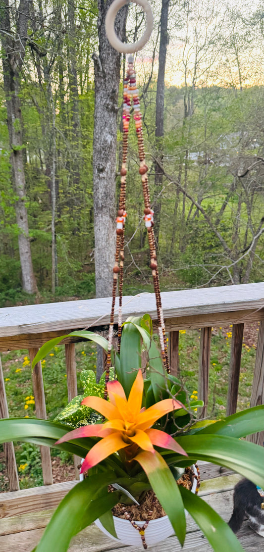🍄 Custom-made plant hanger