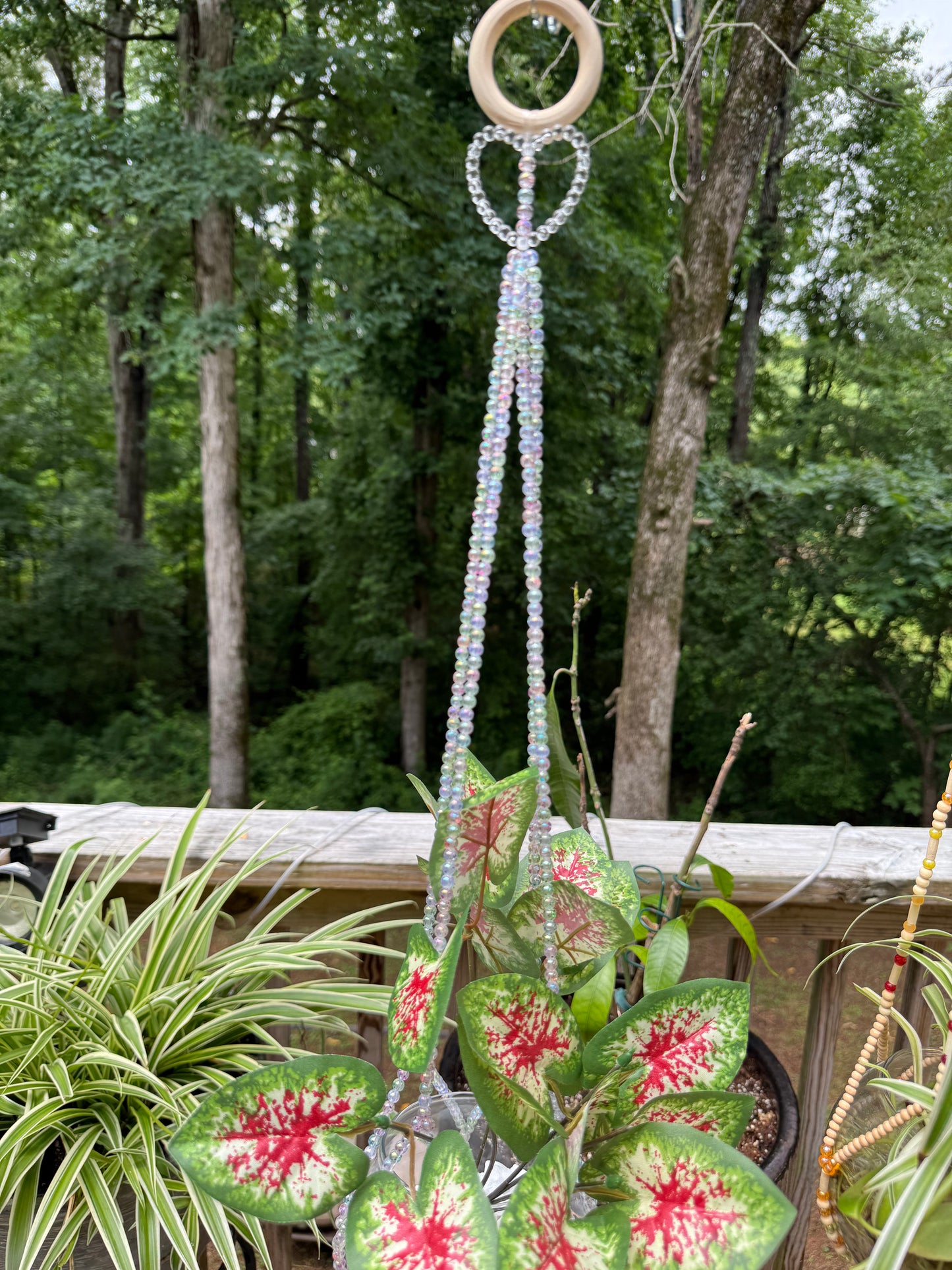 Twinkle plant hanger
